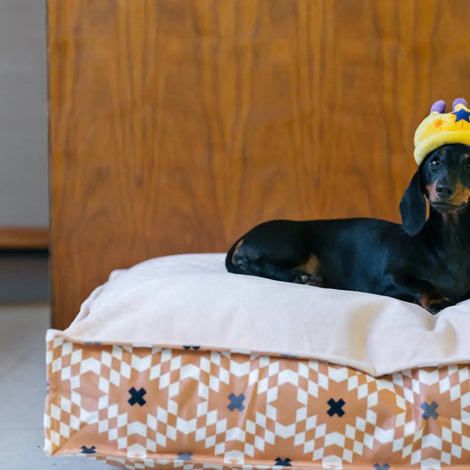 P.L.A.Y Mini Party Time Canine Crown
