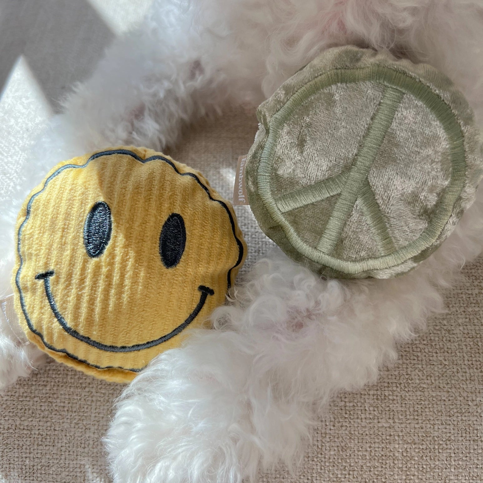 Roller Skate - Enrichment Toy