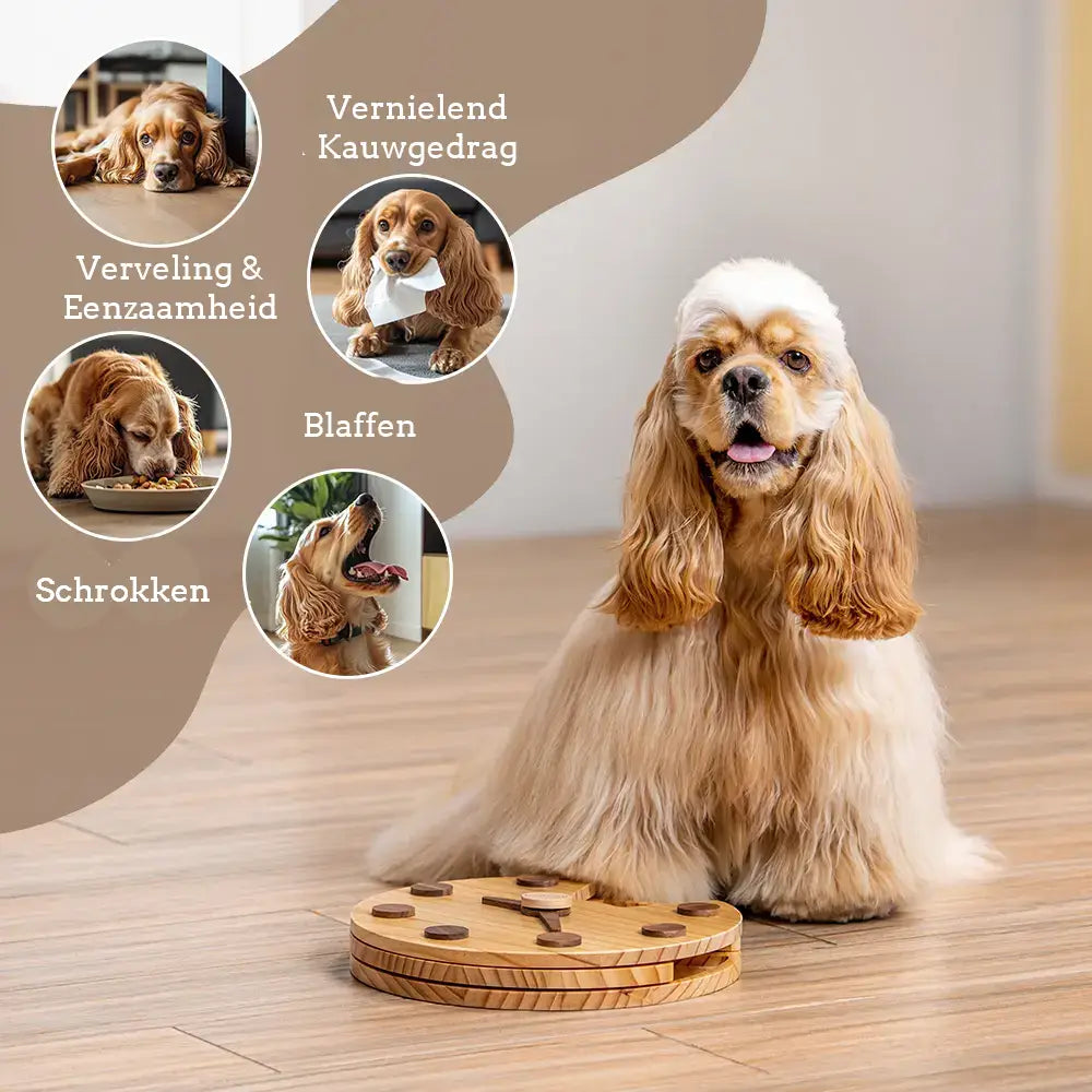 Wall Clock Dog Puzzle - Brainwork - Mental Training