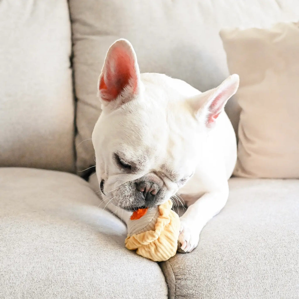 Dim Sum Pop - Enrichment Toy