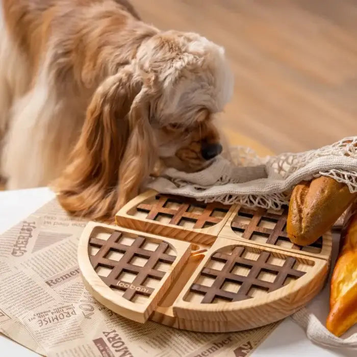 Belgian Waffle Dog Puzzle - Brainwork - Mental Training
