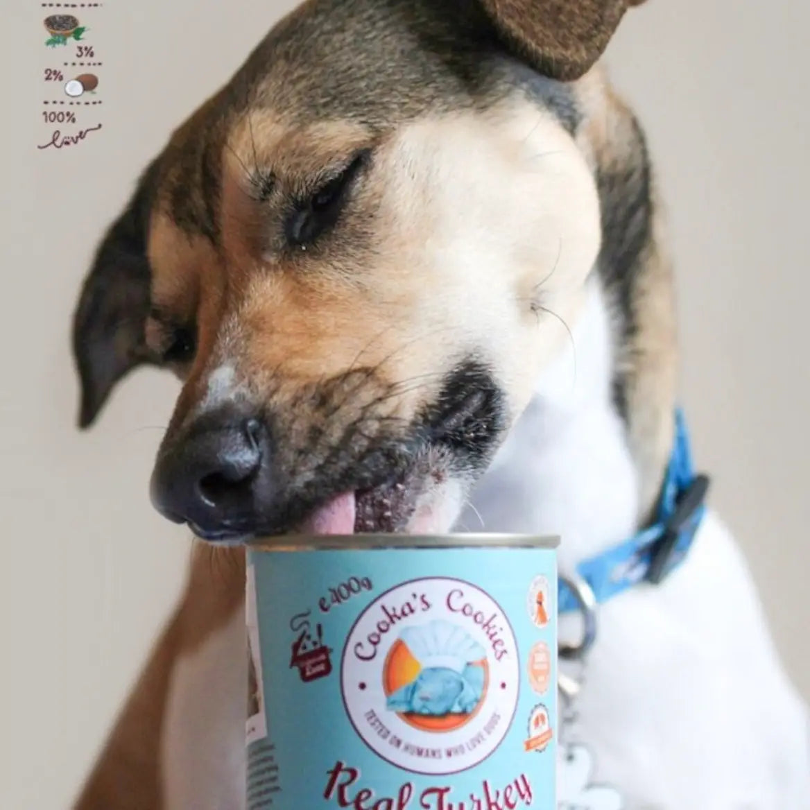 Real Turkey - Natural Humid Dog Food