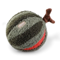 Watermelon Pop //Enrichment Toy