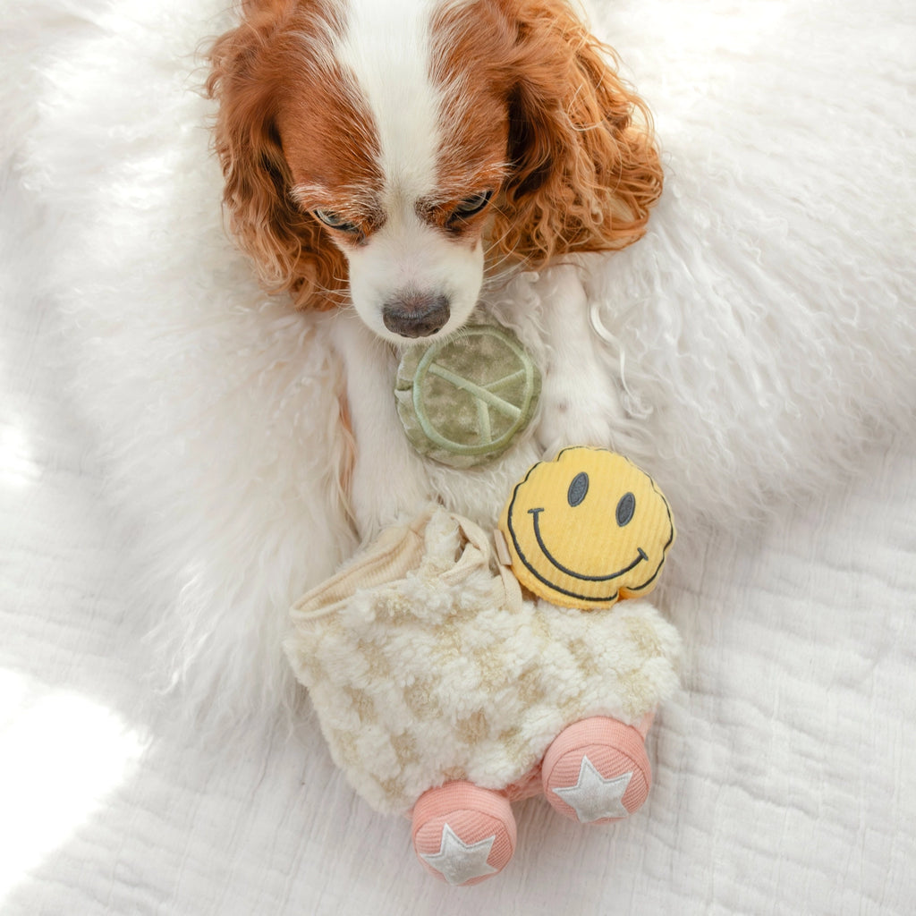 Roller Skate - Enrichment Toy