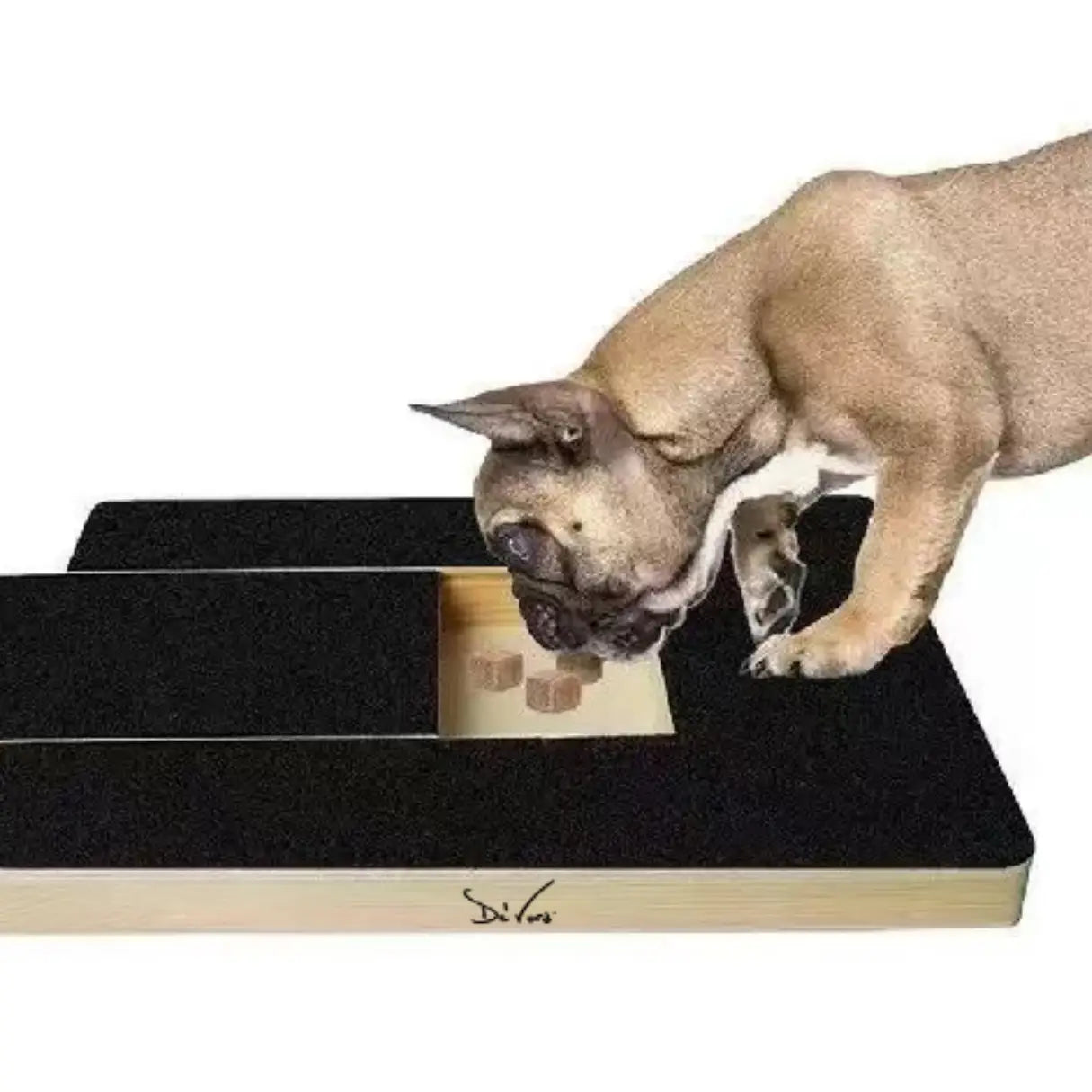 Dog Trainer Board - Nail Scratch Pad