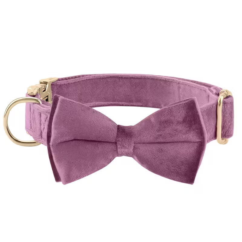 Velvet Dog Collar with Bowtie