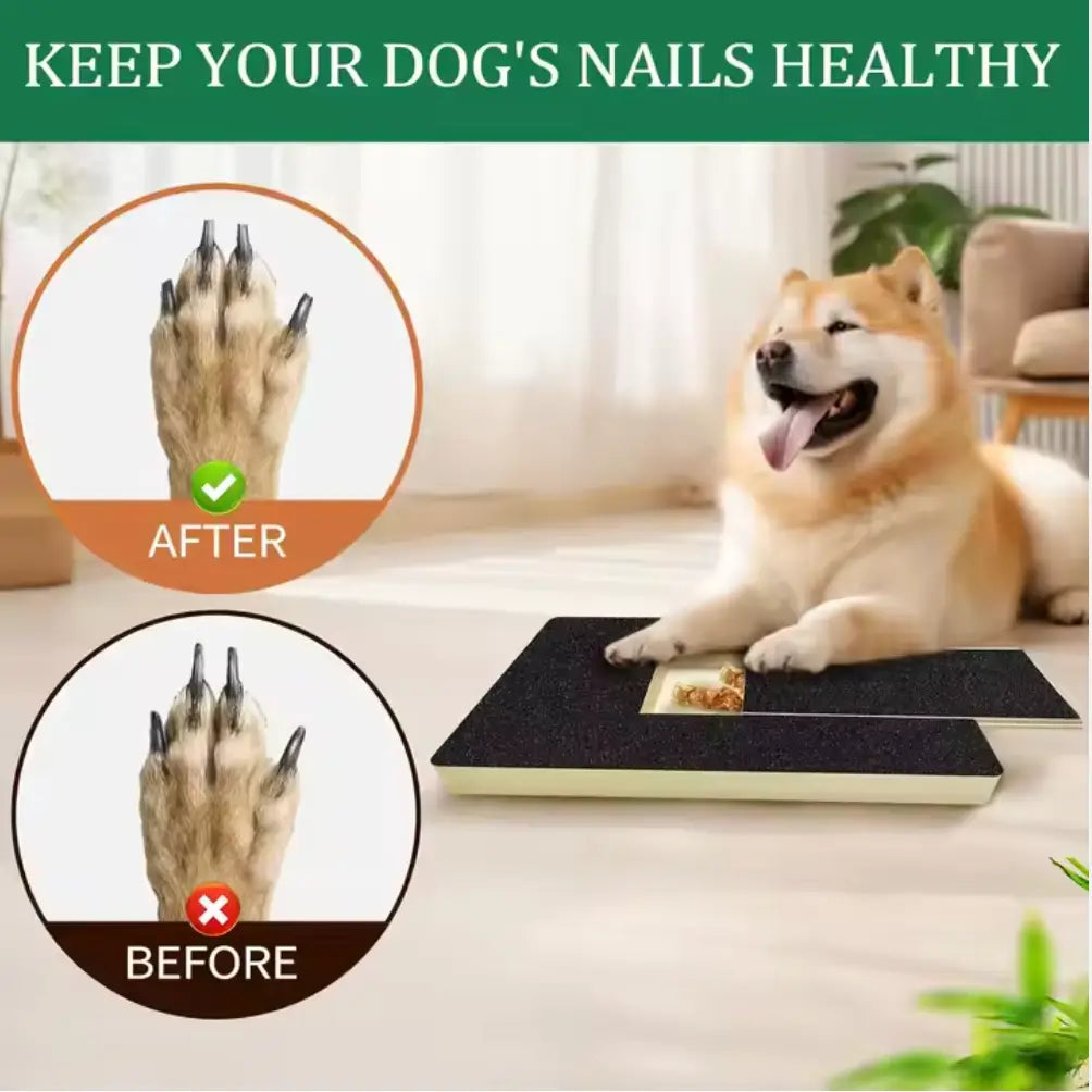 Dog Trainer Board - Nail Scratch Pad
