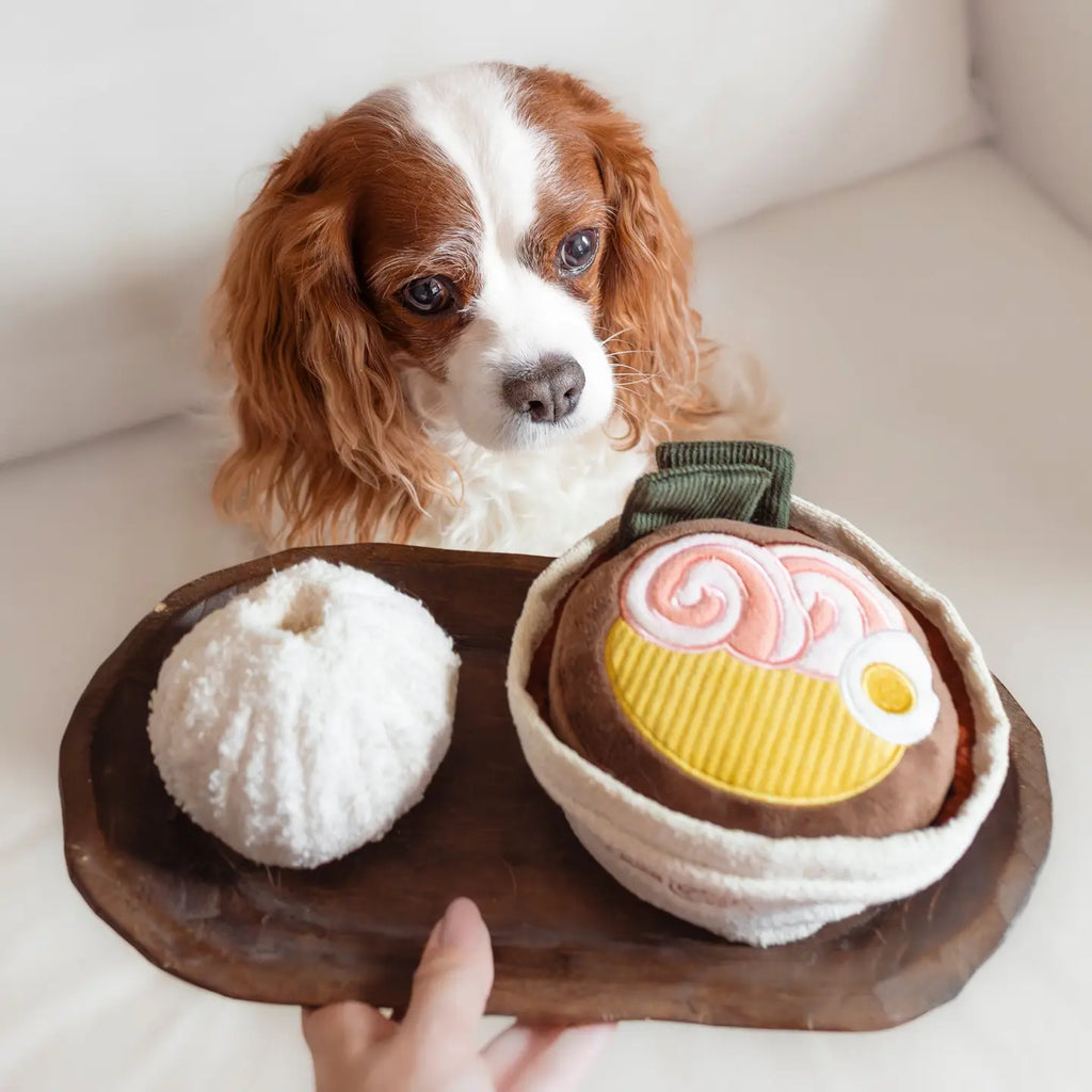 Ramen - Enrichment Toy