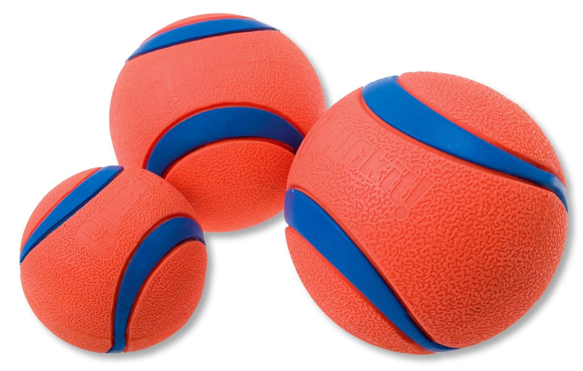 Chuckit! Ultra Ball – Medium (6cm)