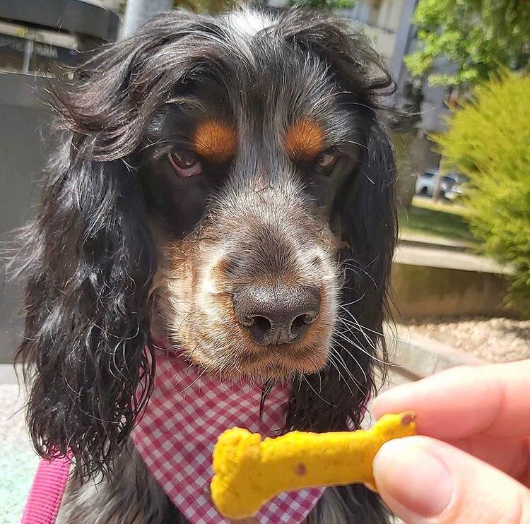 Cooka's Cookies Sintra Bliss (100gms)