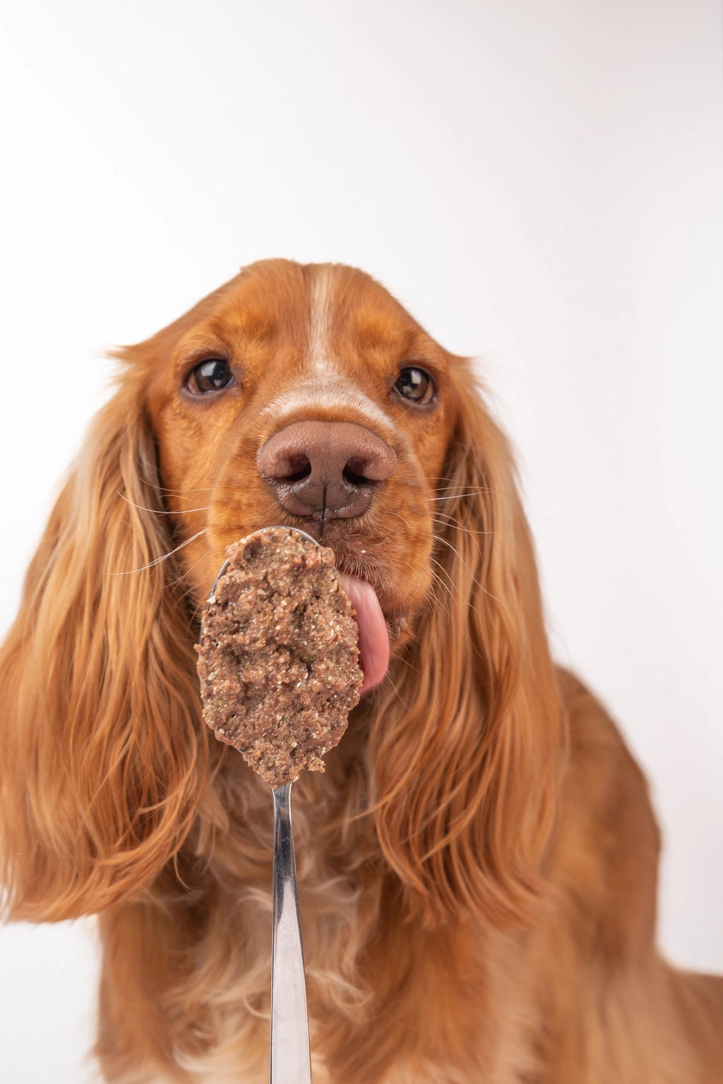 Real Duck - Natural Moist Dog Food
