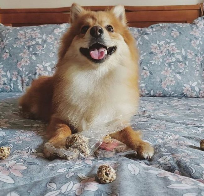 Cooka's Cookas Sardine & Varkensvlees Beijinhos (50g)