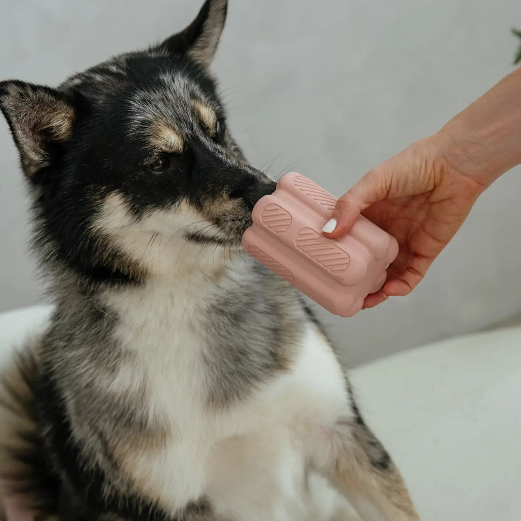 Blush Pink Aggressive Teething Toy
