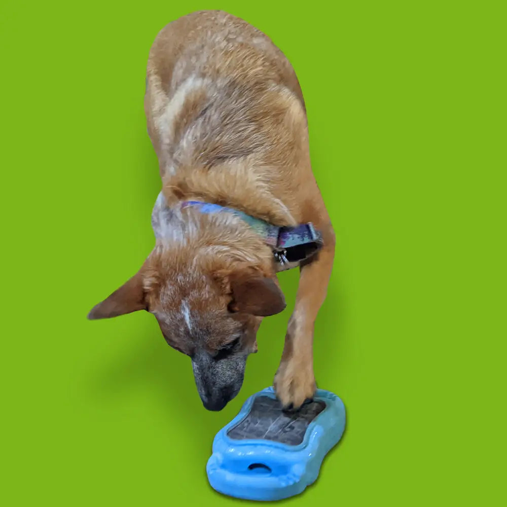 De' Vora Scratch Square