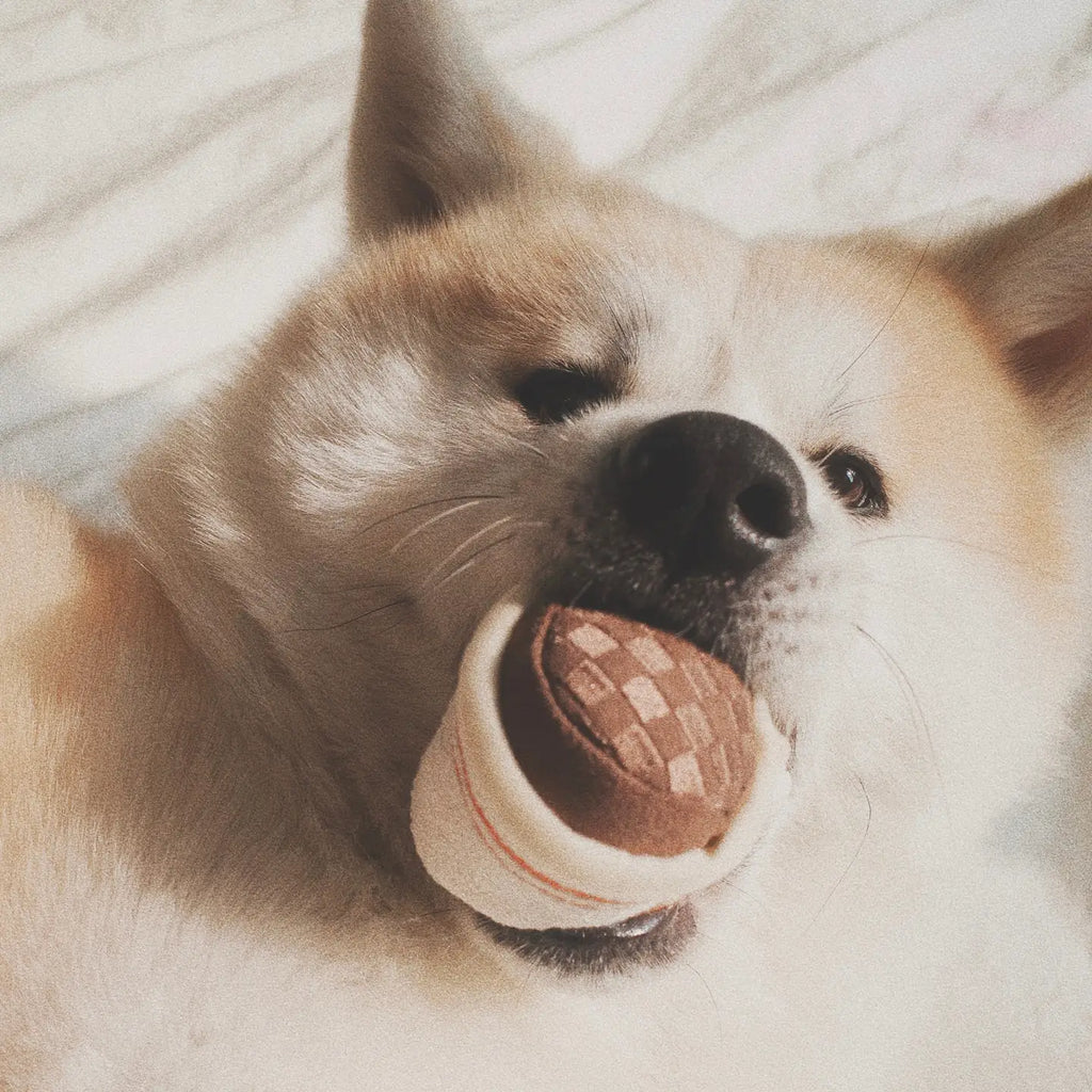 Expresso Pop - Enrichment Toy