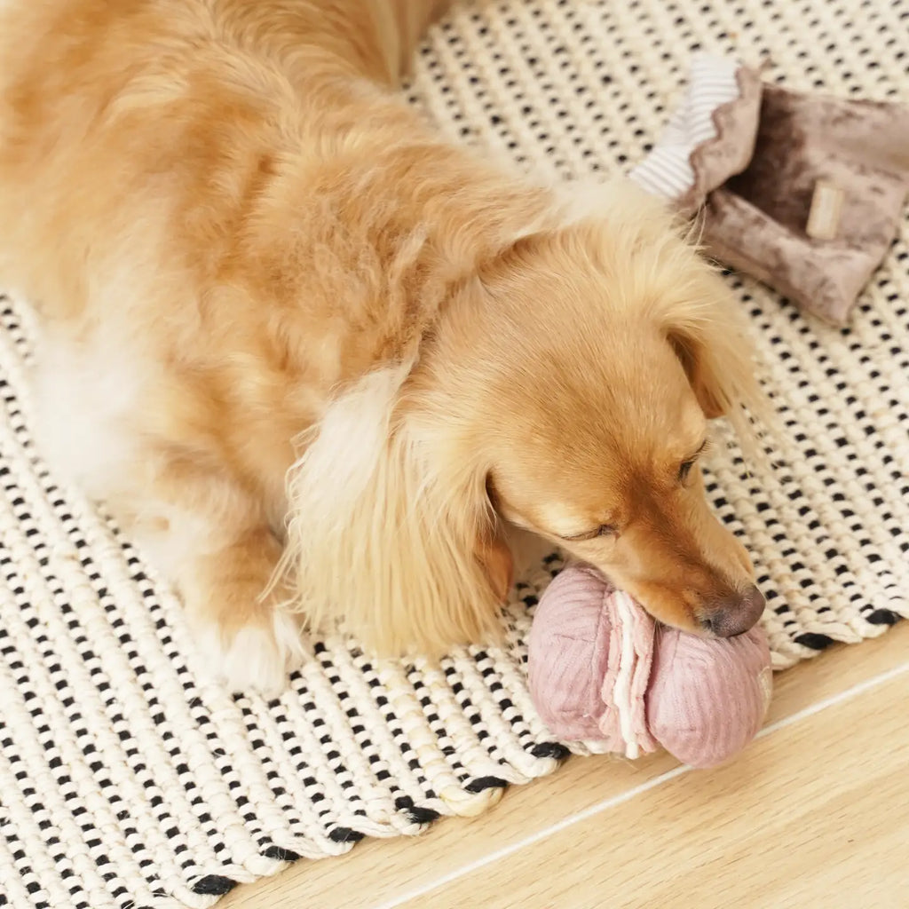 Petite Two - Enrichment Toy