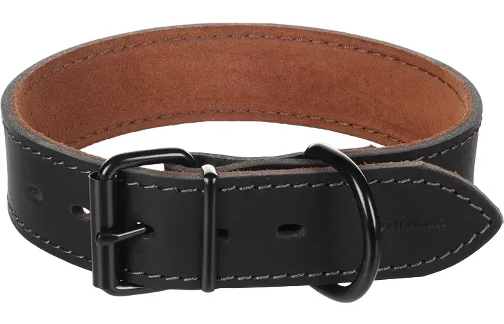 Dog Collar Montana