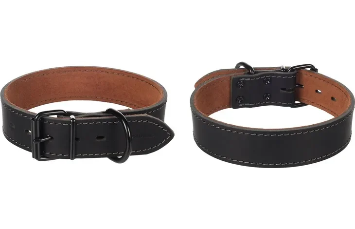 Dog Collar Montana