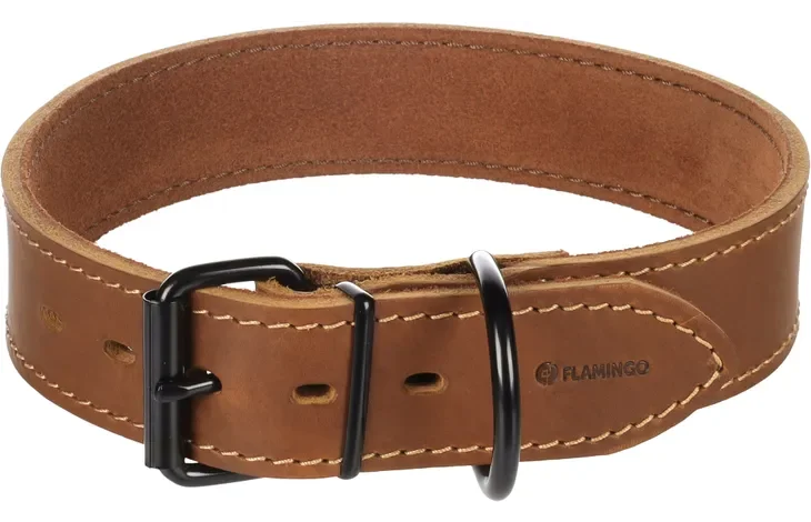 Dog Collar Montana
