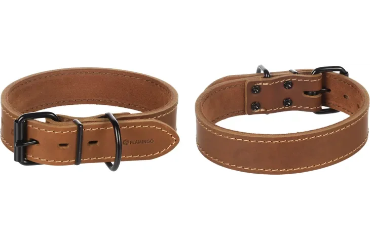 Dog Collar Montana