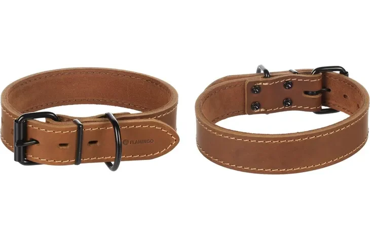 Dog Collar Montana