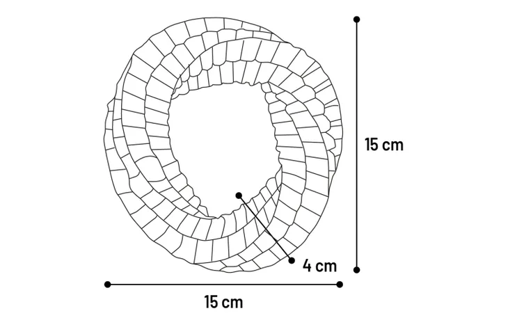 Glow-in-the-dark Ring (Blue & Yellow)