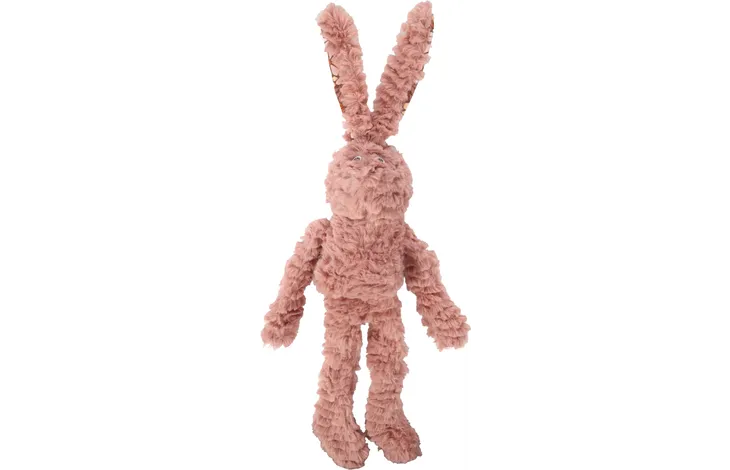 Puppy Starter Box – Tintin’s Curated Puppy Essentials Set (Worth €67)