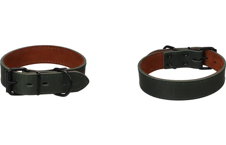 Dog Collar Montana