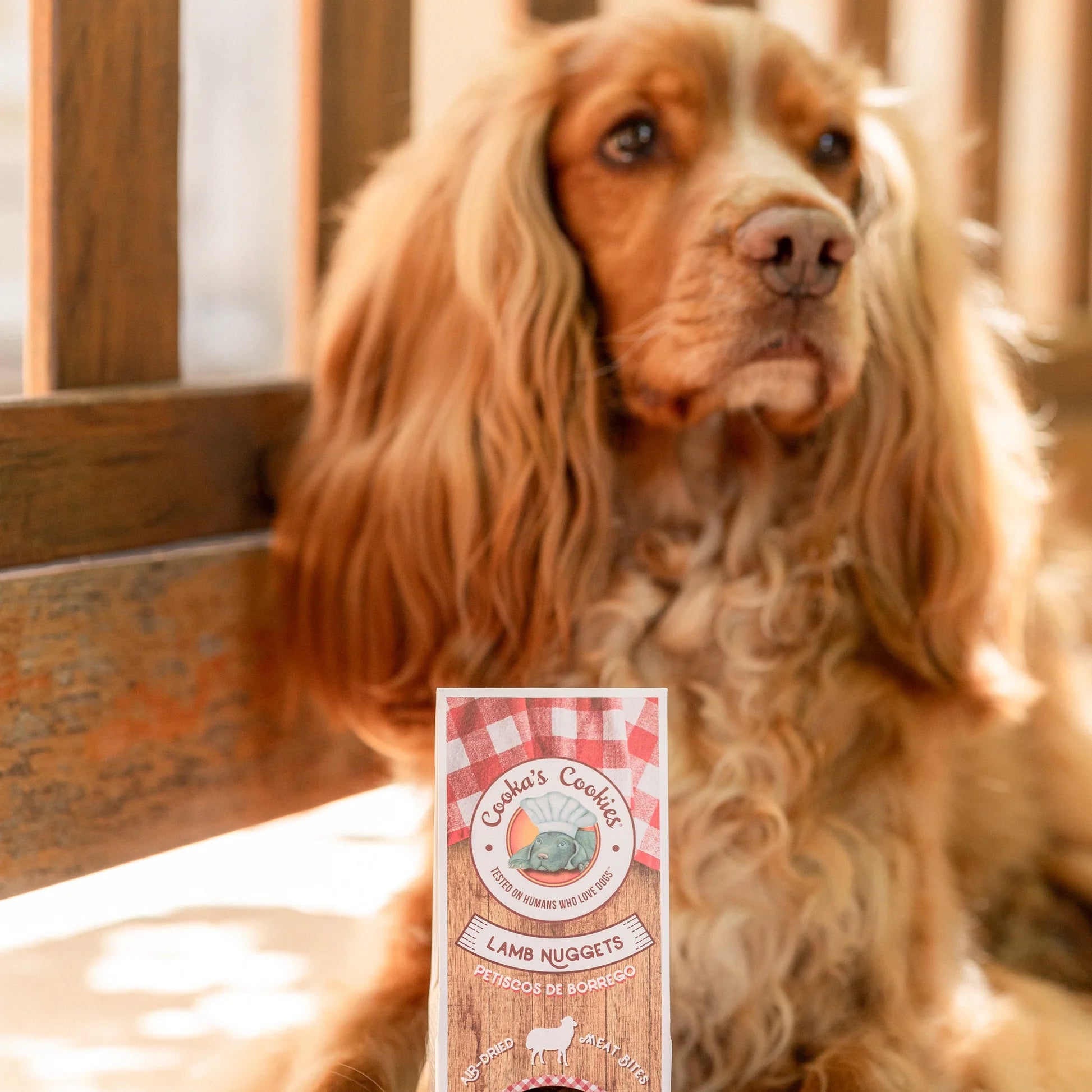 Air - Dried Lamb Nuggets (60gms)