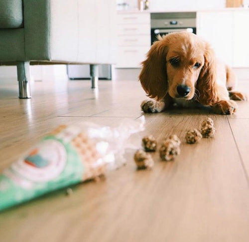 Cooka's Cookas Sardine & Varkensvlees Beijinhos (50g)