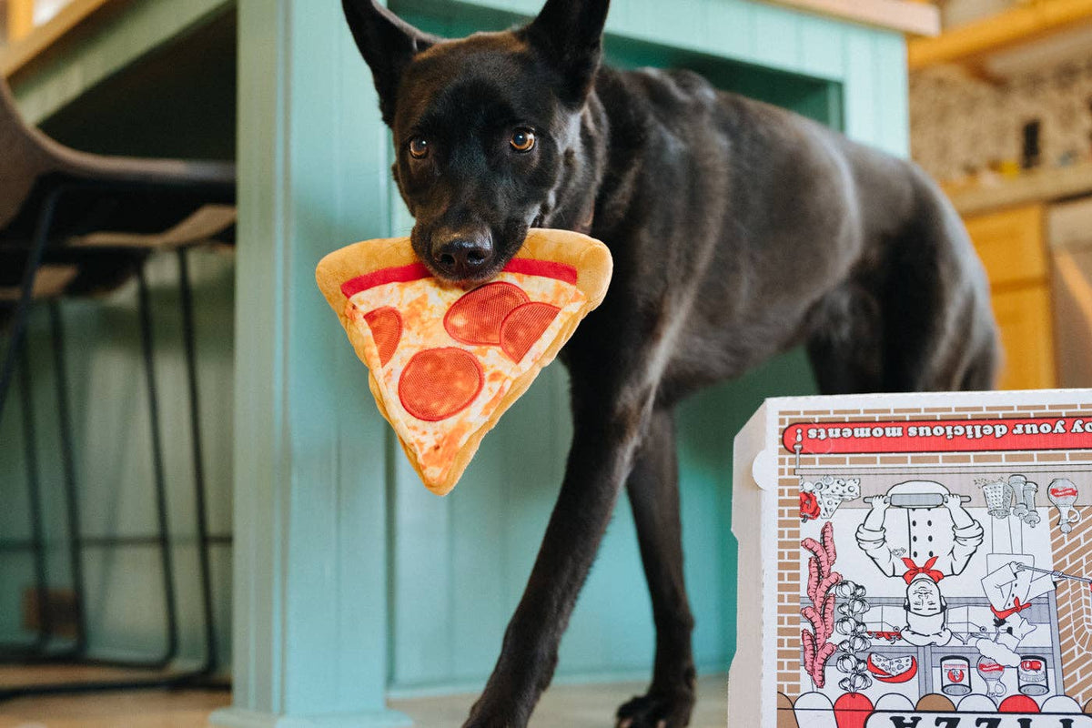 P.L.A.Y Snack Attack Puppy-roni Pizza (Medium)
