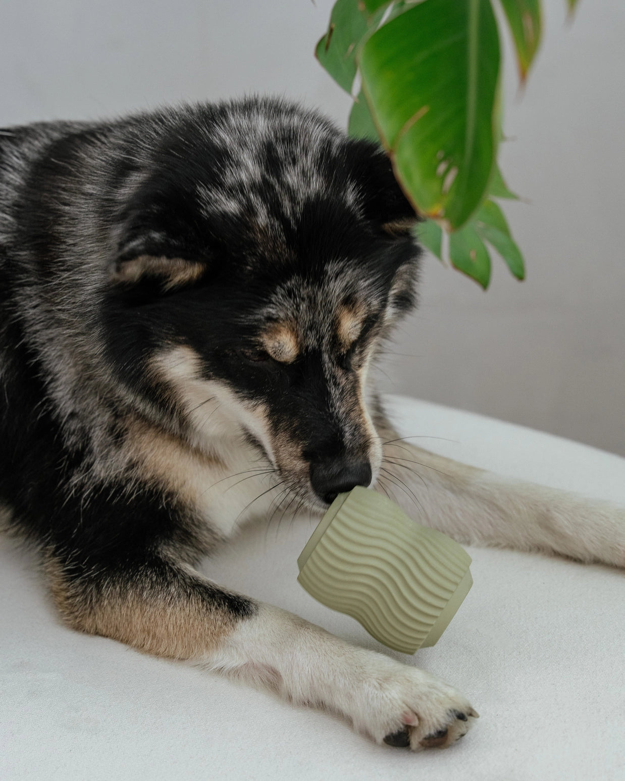 Sage Green Aggressive Teething Toy