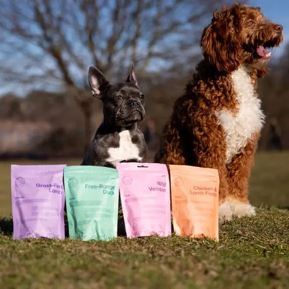 Buddy Natural Dog Dry Food -  Grass-Fed Lamb 2 Kg