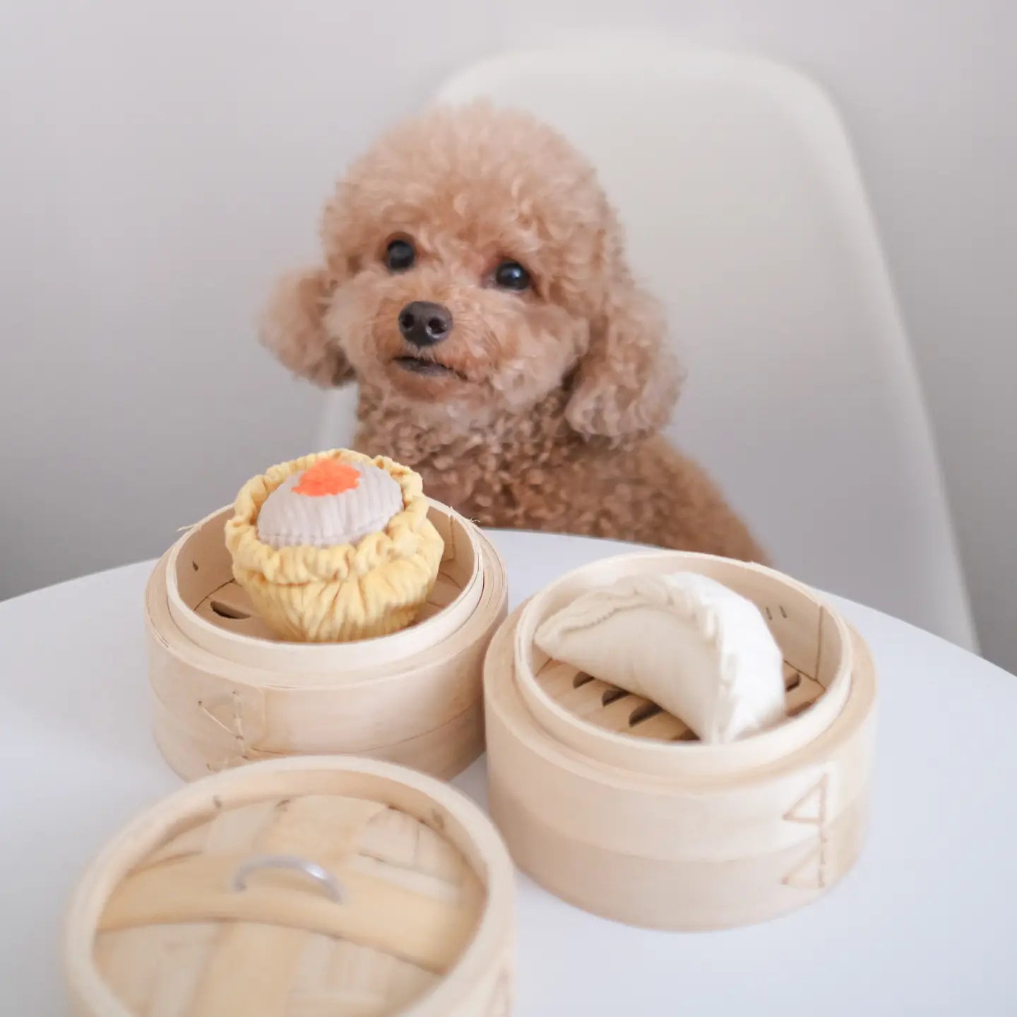 Dim Sum Pop - Enrichment Toy