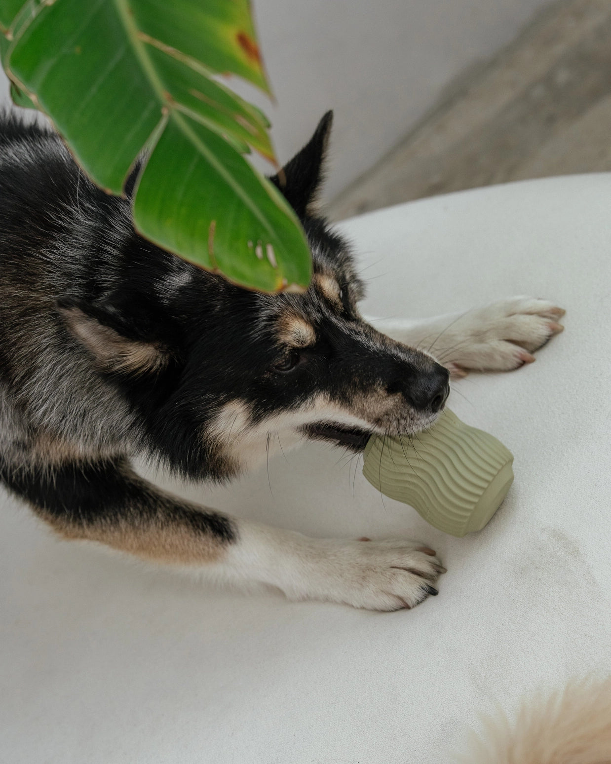 Sage Green Aggressive Teething Toy