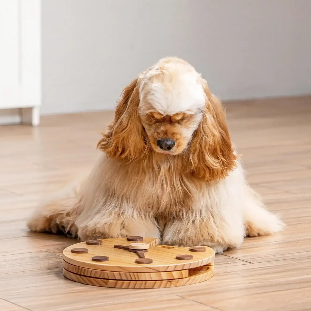 Wall Clock Dog Puzzle - Brainwork - Mental Training