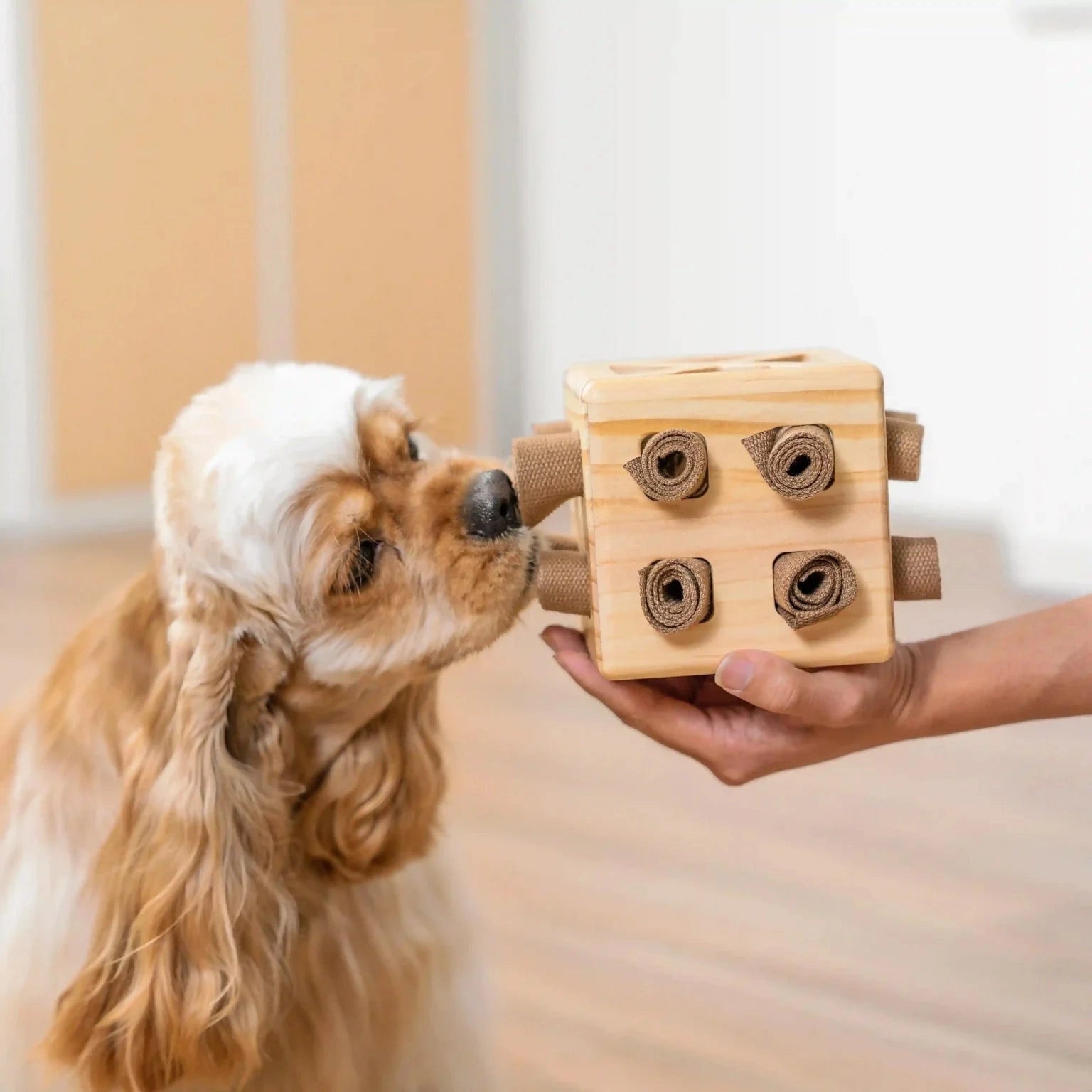 Snuffle Rubik's Cube Dog Puzzle - Brainwork Mental Training