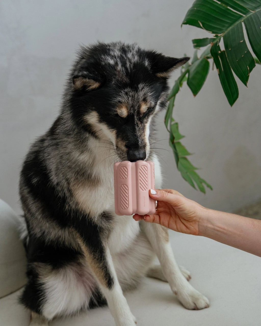 Blush Pink Aggressive Teething Toy