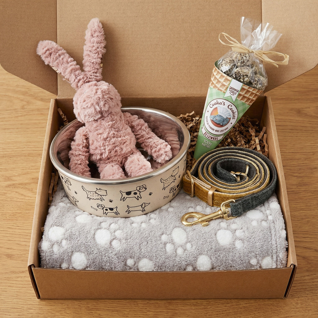 Puppy Starter Box – Tintin’s Curated Puppy Essentials Set (Worth €67)