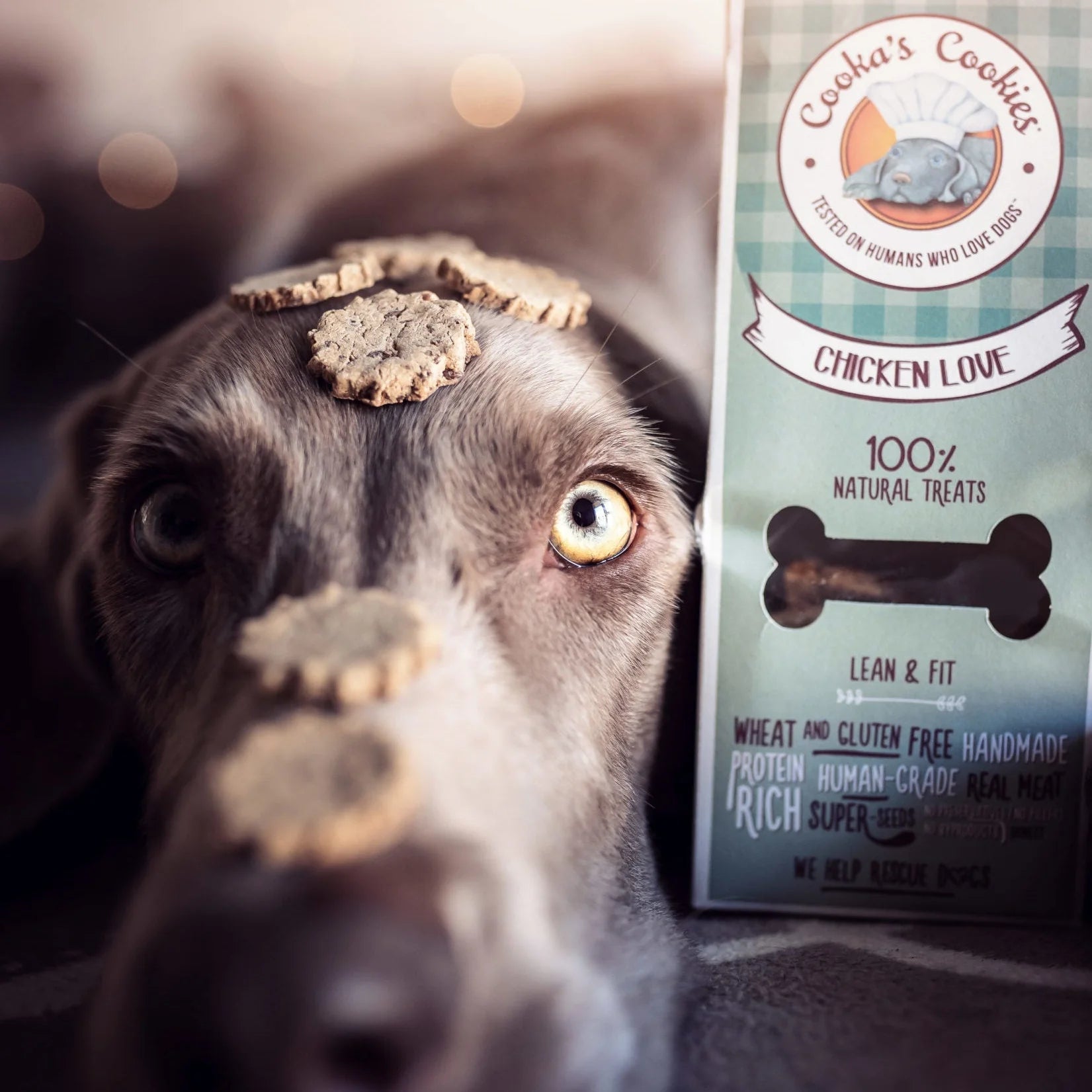 Cooka's Cookies Chicken Love (100g)