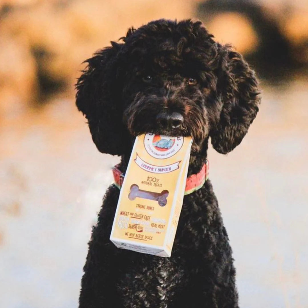 Cooka's Cookies Gourmet Burger (100g)