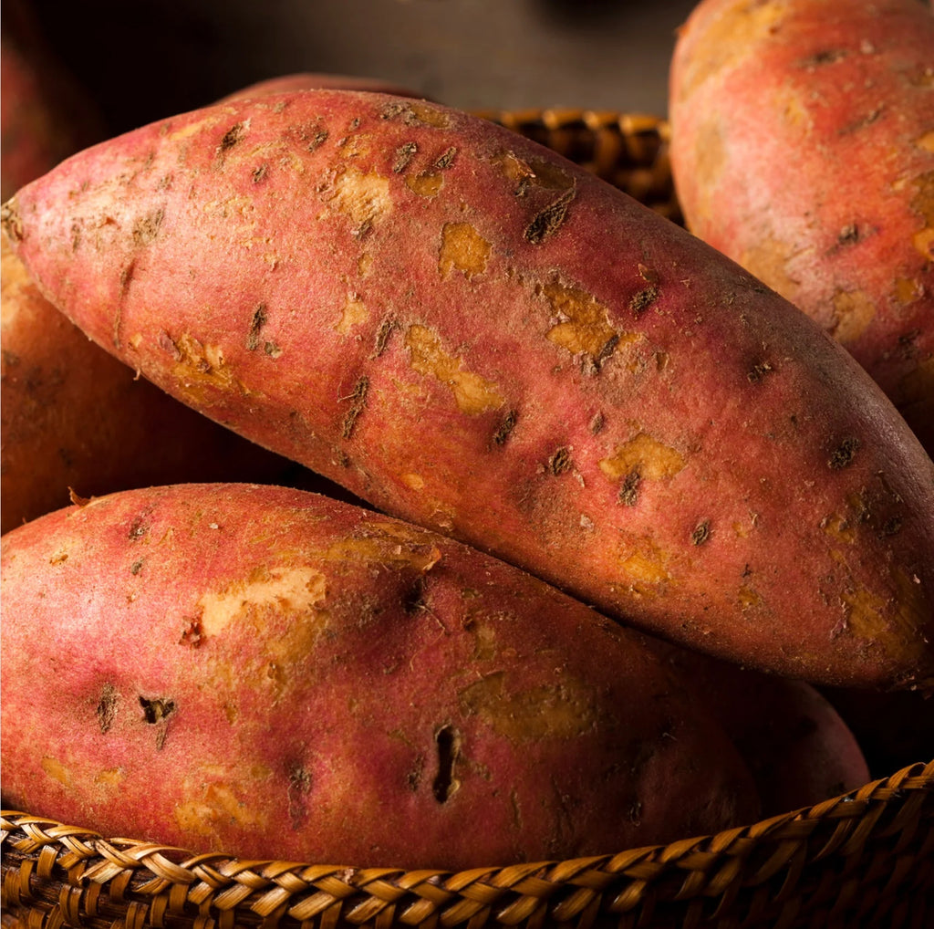 Sweet Potato Bites for Healthy Gut