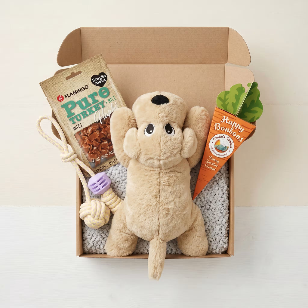 Junnie’s Enrichment Box – Dog Toys & Treats for Play, Training & Stimulation