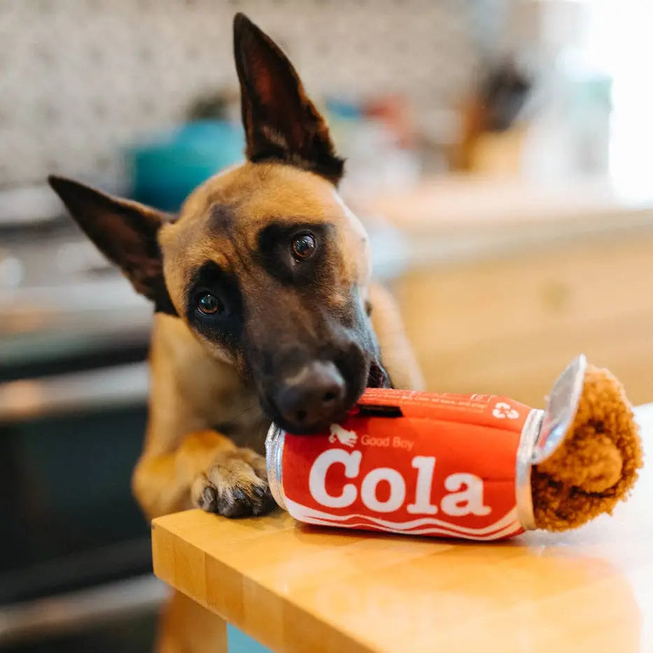 P.L.A.Y Snack Attack Good Boy Cola