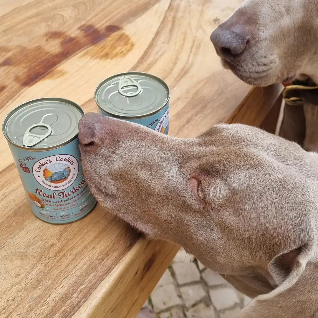 Real Turkey - Natural Humid Dog Food