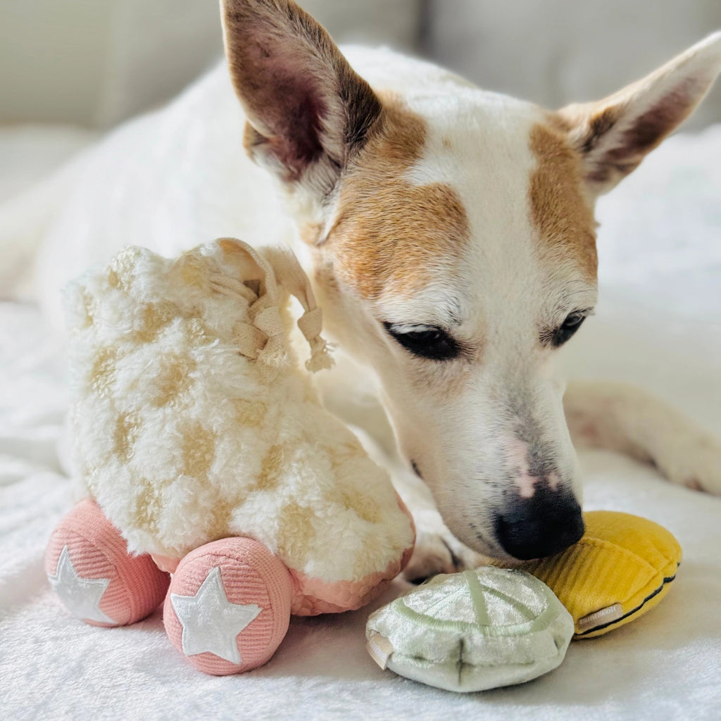 Roller Skate - Enrichment Toy