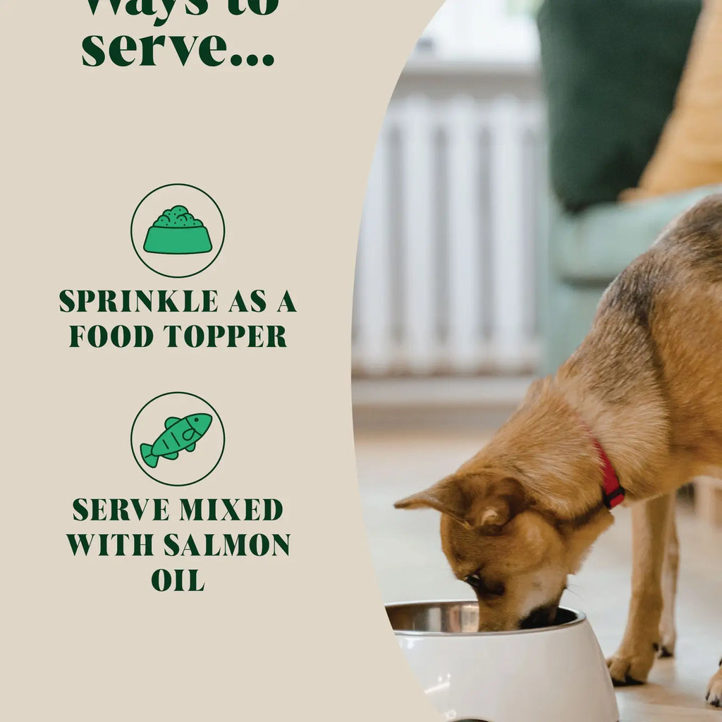 Natural Flea and Tick Powder For Dogs | Herbal Repellent