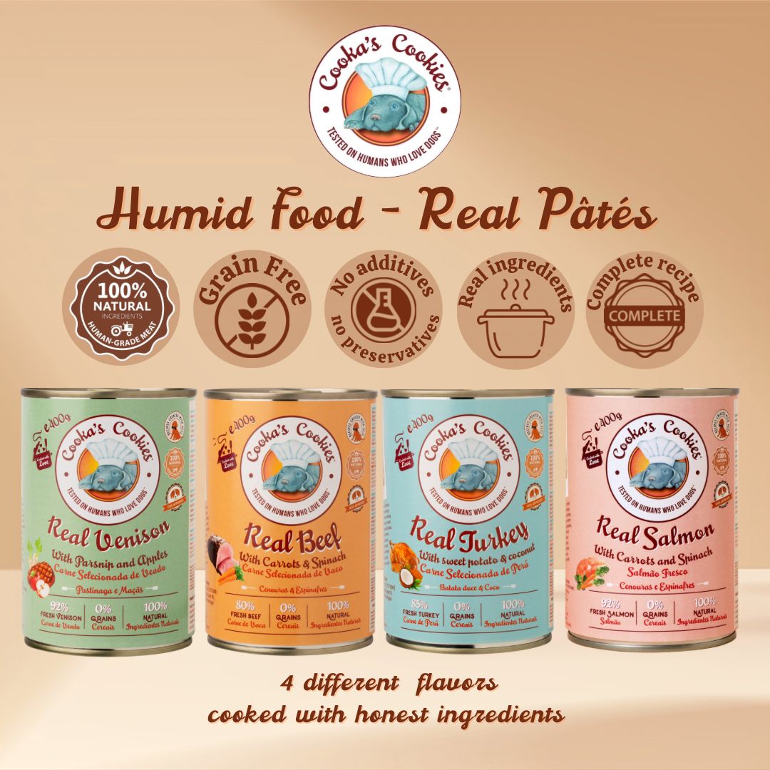 Real Salmon - Natural Humid Dog Food