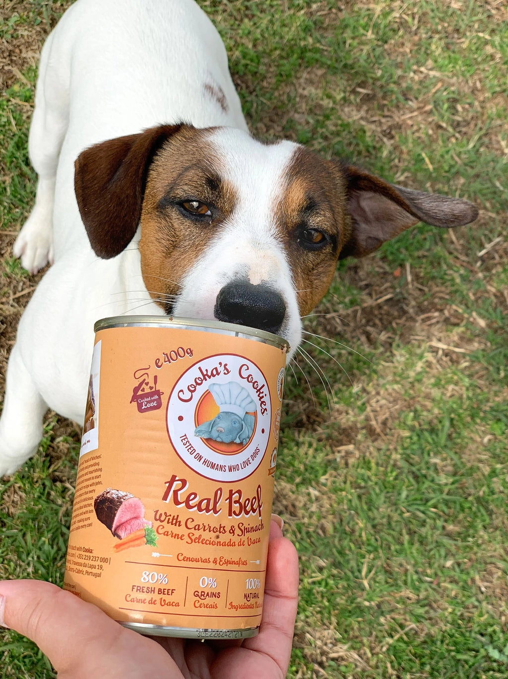 Real Beef - Natural Humid Dog Food
