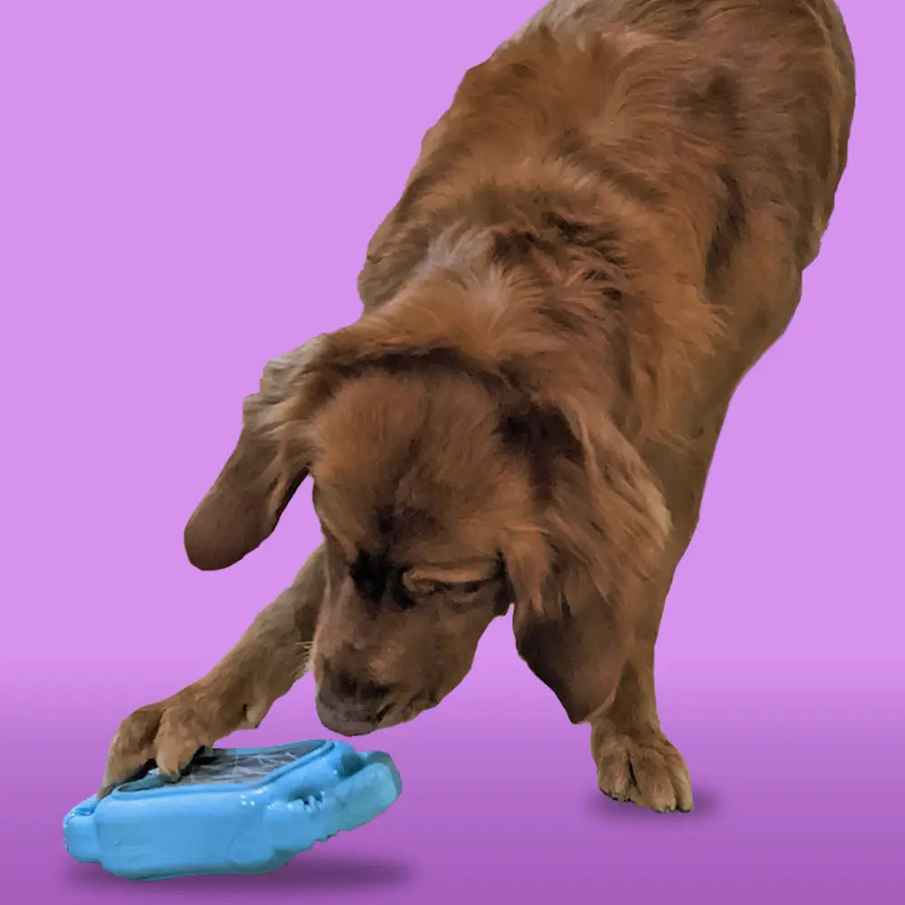 De' Vora Scratch Square